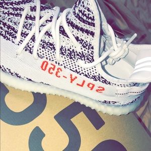 Yeezy boosted 350 V2